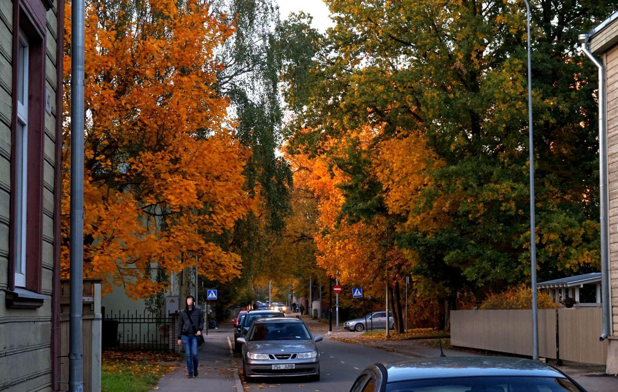 Quiet Romantic Studio Plus Parking, Tartu Home Esterno foto